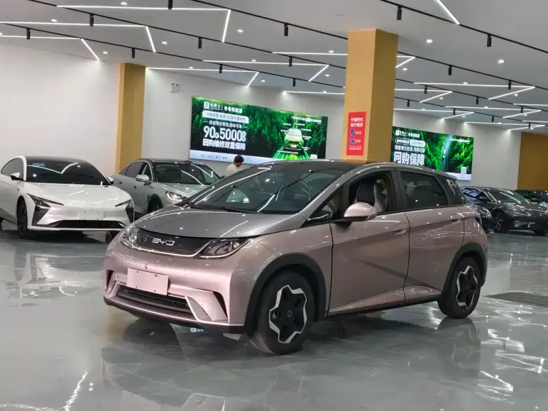 BYD Dolphin, 2022