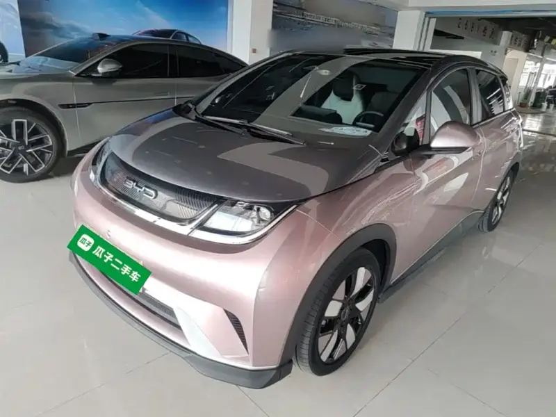 BYD Dolphin, 2021