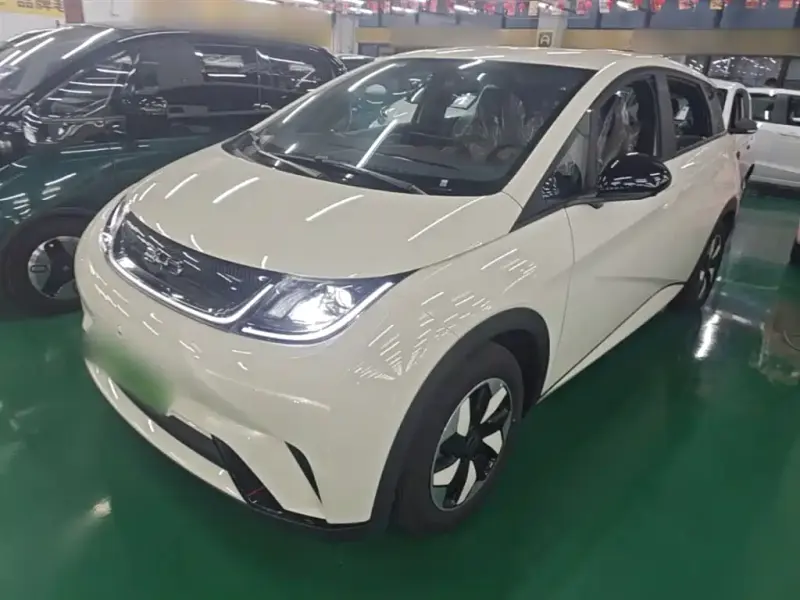 BYD Dolphin, 2026