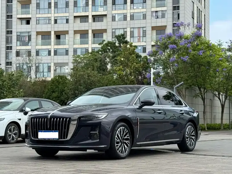 Hongqi H5, 2024