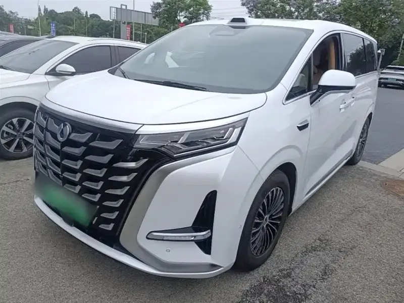 Denza D9, 2025
