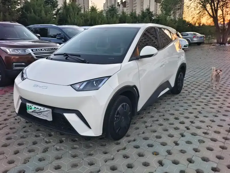 BYD Seagull, 2023