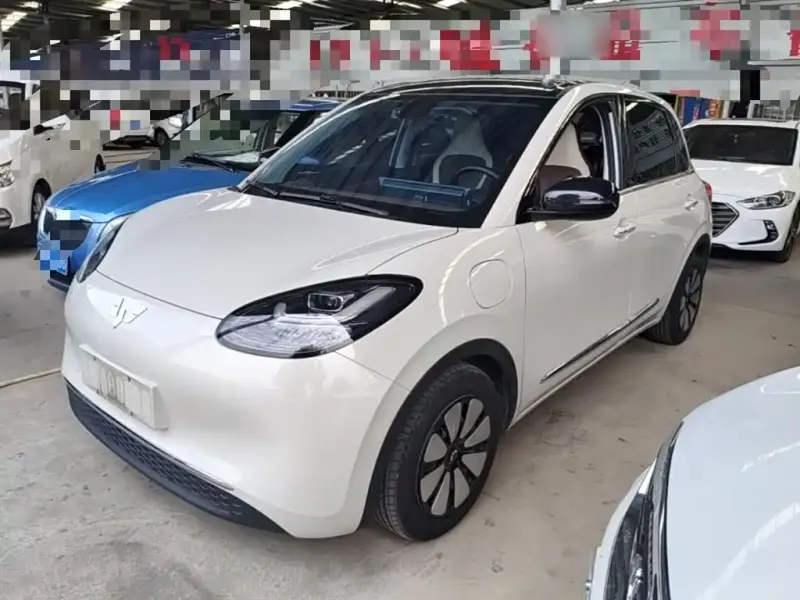 Wuling Bingo, 2024