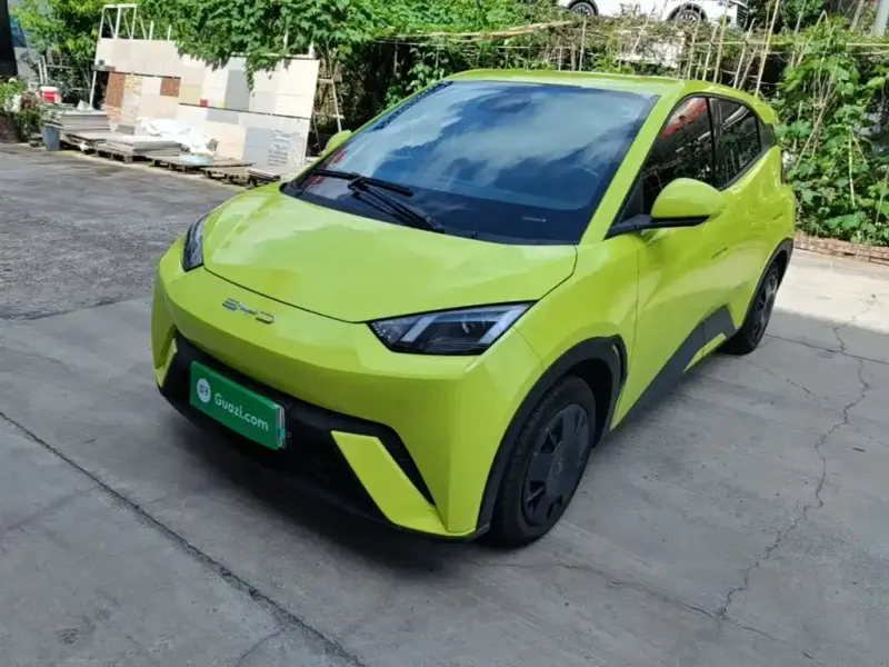 BYD Seagull, 2024