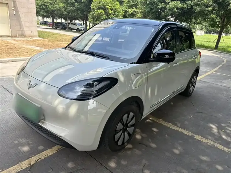 Wuling Bingo, 2024