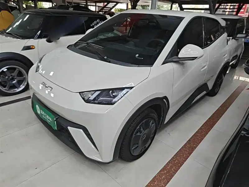 BYD Seagull, 2024