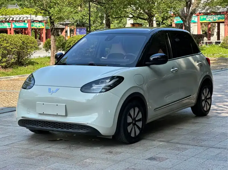 Wuling Bingo, 2023
