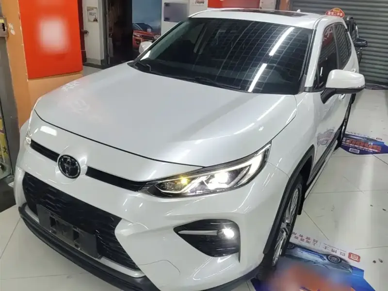 Toyota Wildlander, 2020