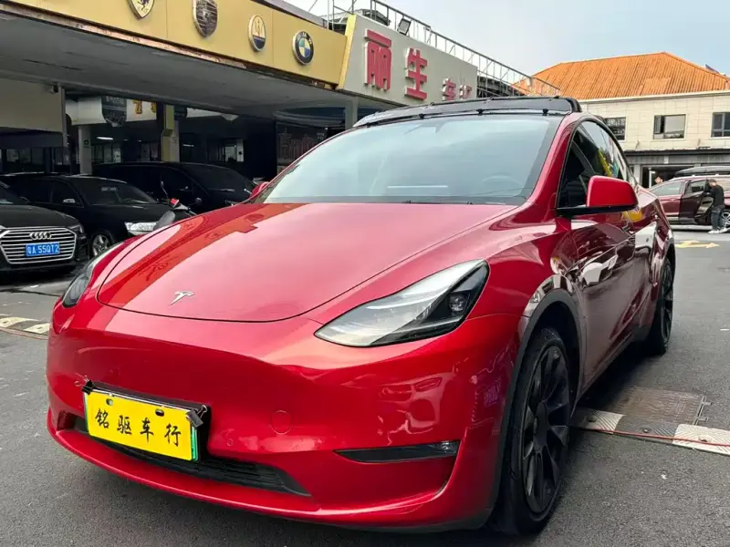 Tesla Model Y, 2021