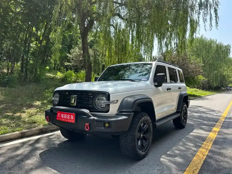 Tank 300, 2024
