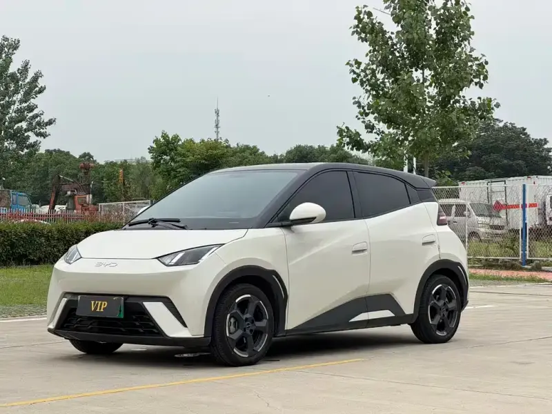 BYD Seagull, 2024