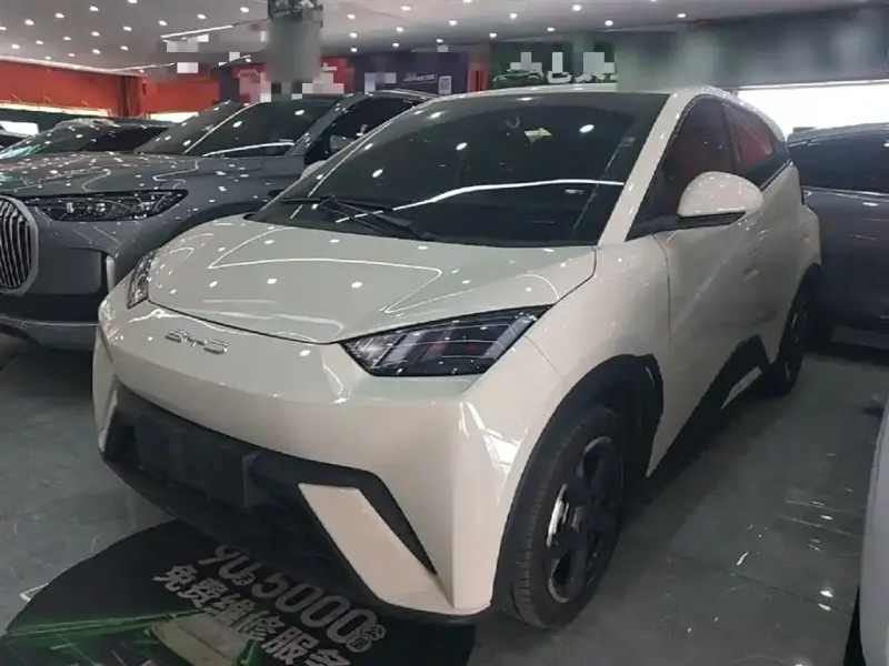 BYD Seagull, 2023