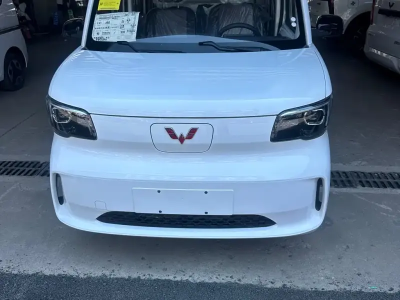 Wuling Zhiguang EV, 2026