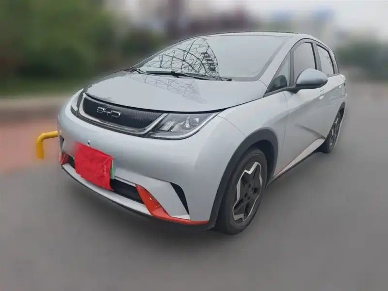 BYD Dolphin, 2021