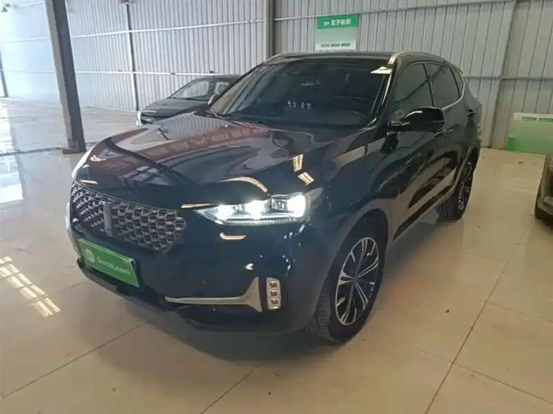 Wey VV6, 2021