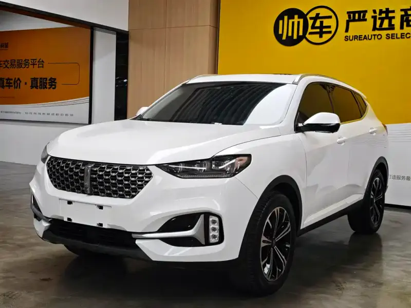 Wey VV6, 2021