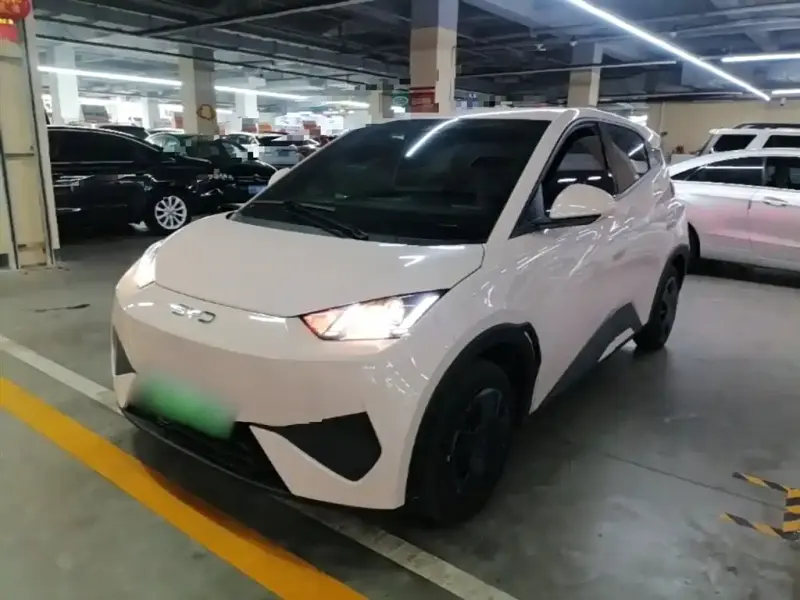 BYD Seagull, 2026