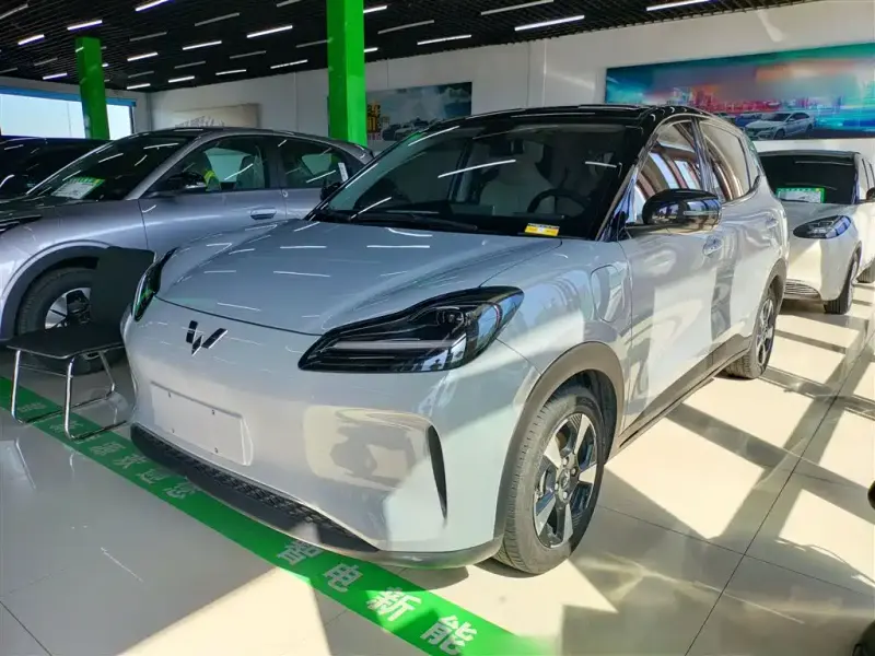 Wuling Bingo PLUS, 2024