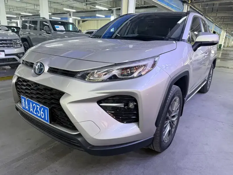 Toyota Wildlander, 2024