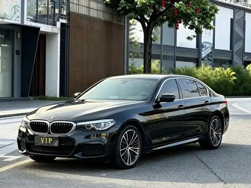 BMW 5 Series, 2019