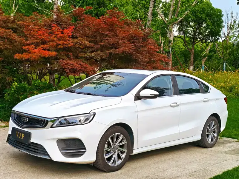 Geely Binrui, 2020