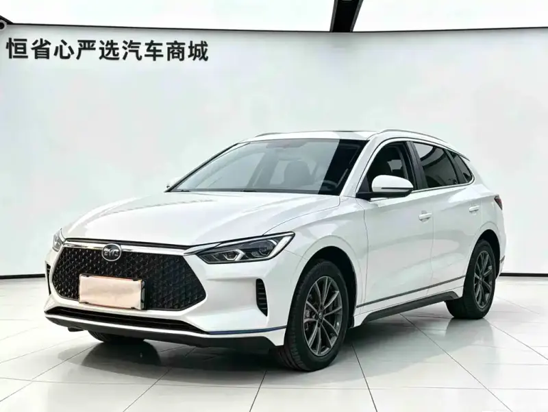 BYD e2, 2022