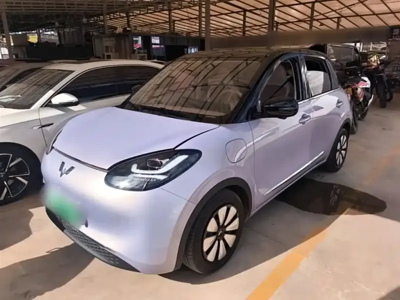 Wuling Bingo, 2025