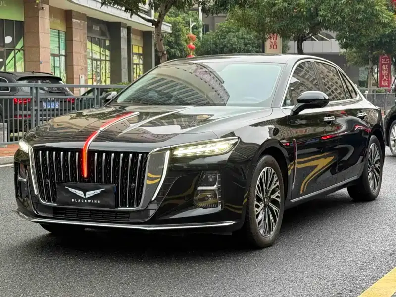 Hongqi H5, 2024