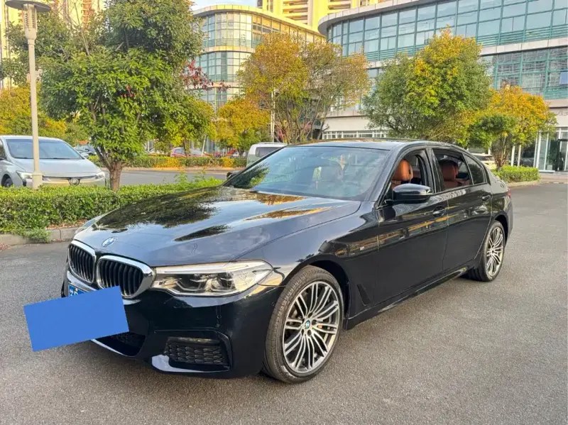 BMW 5 Series, 2019