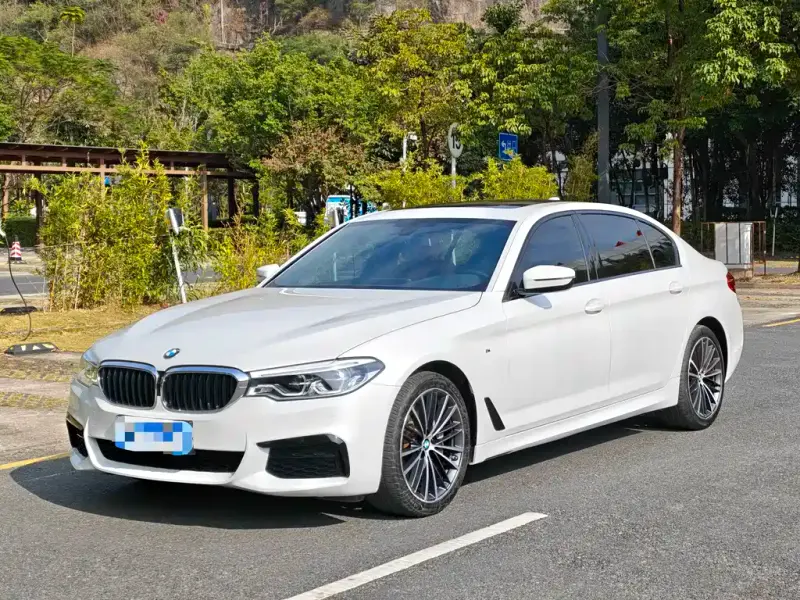BMW 5 Series, 2020