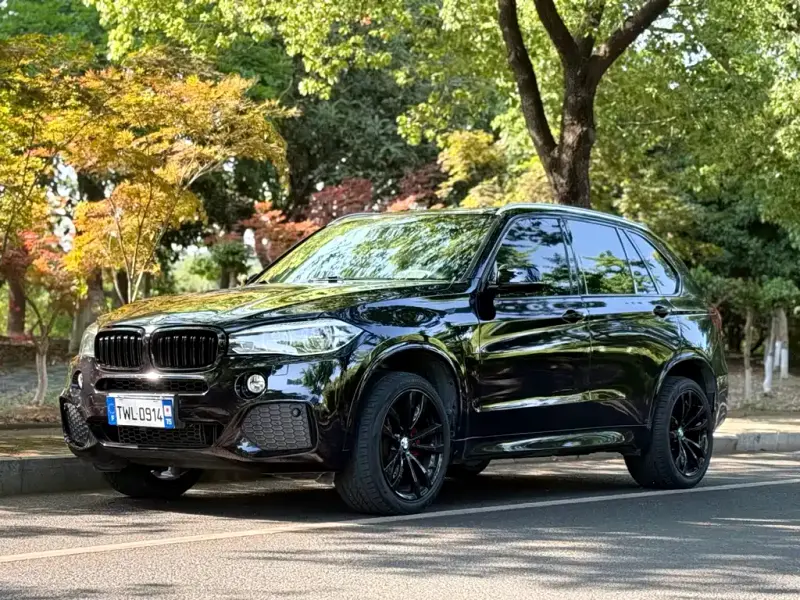 BMW X5 (Import), 2018