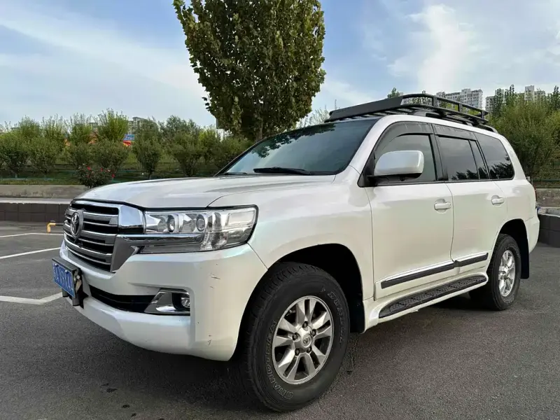 Toyota Land Cruiser, 2010