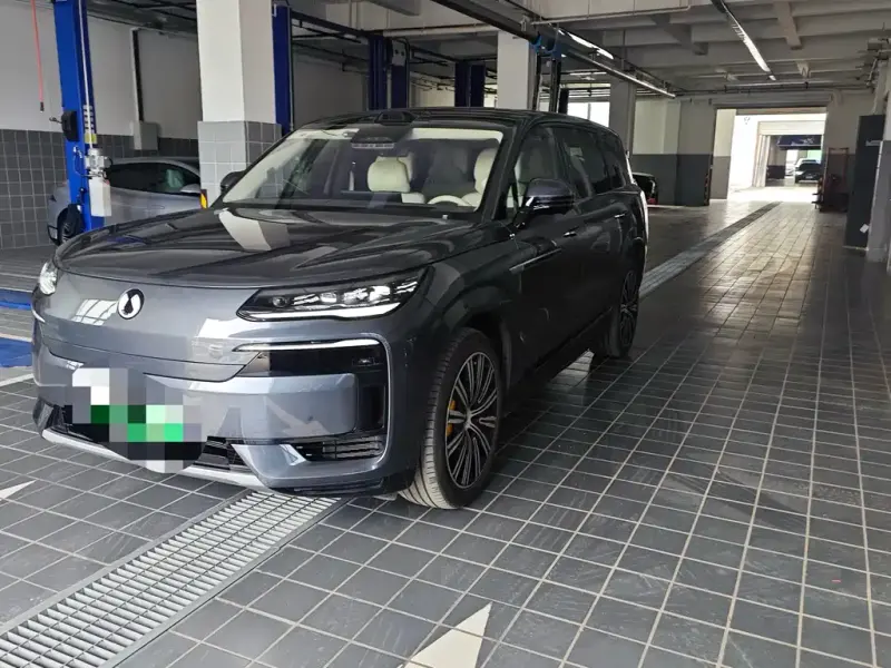 Denza N9, 2025