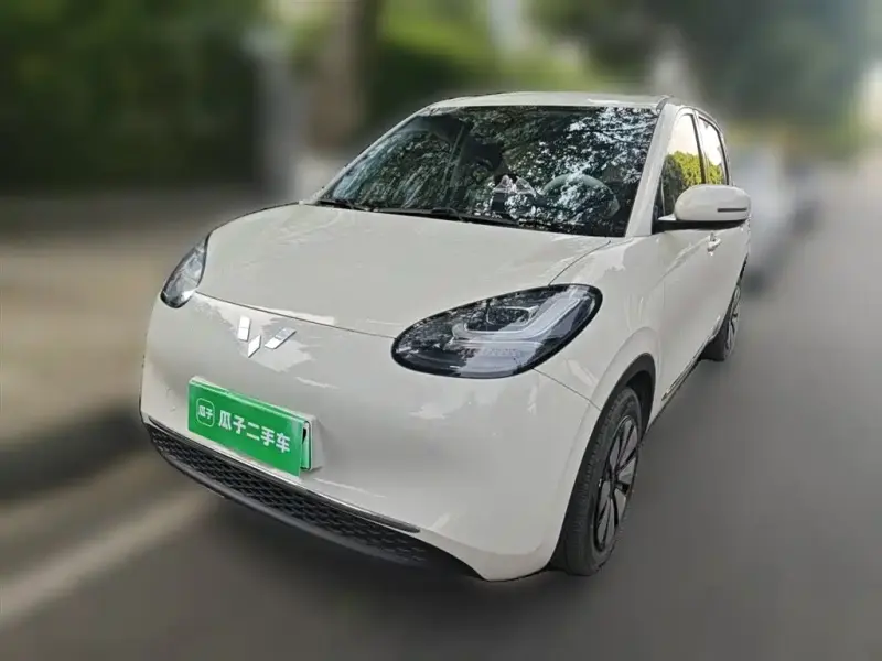 Wuling Bingo, 2023
