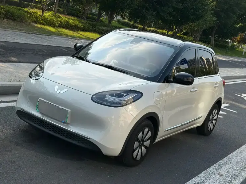 Wuling Bingo, 2024
