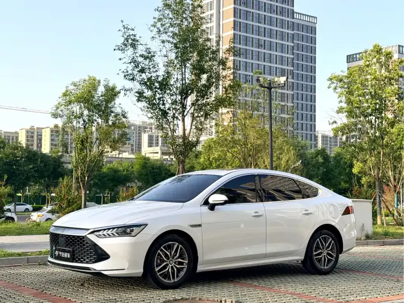 BYD Qin PLUS, 2024