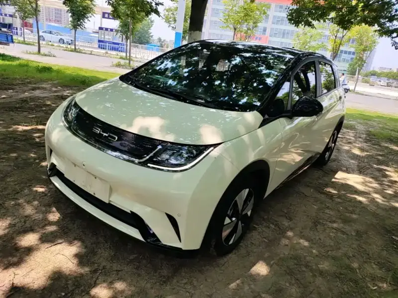 BYD Dolphin, 2023