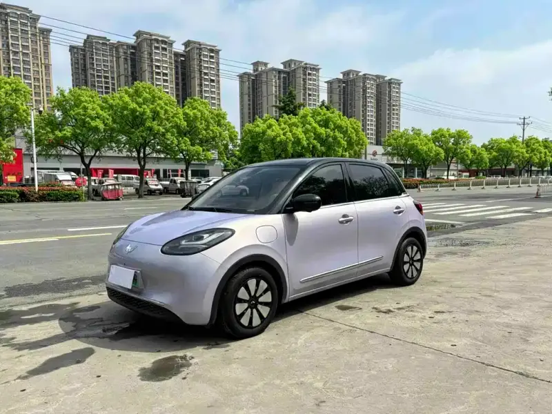 Wuling Bingo, 2025