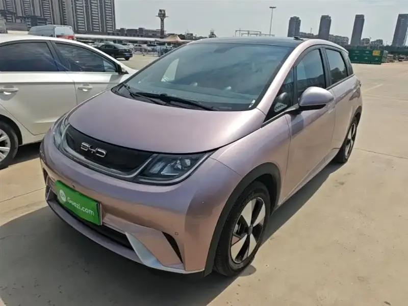 BYD Dolphin, 2023