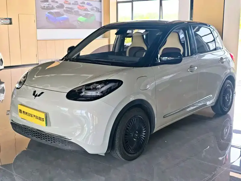 Wuling Bingo, 2023