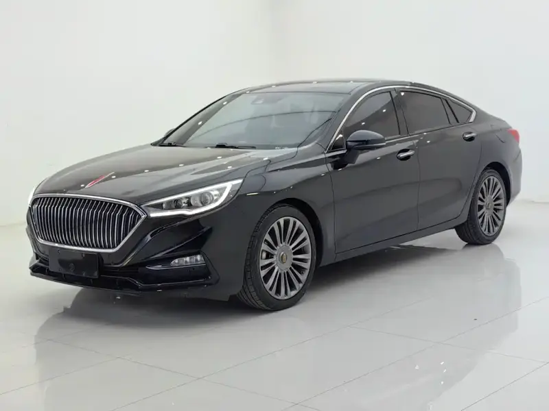 Hongqi H5, 2020