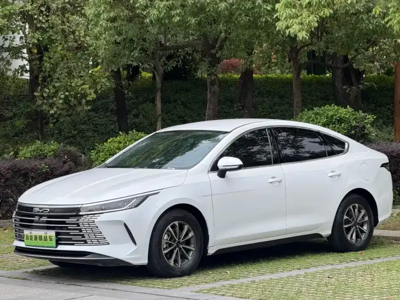 BYD Destroyer 05, 2024