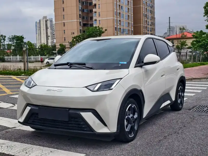 BYD Seagull, 2024