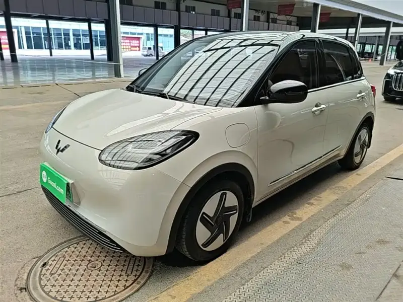 Wuling Bingo, 2023