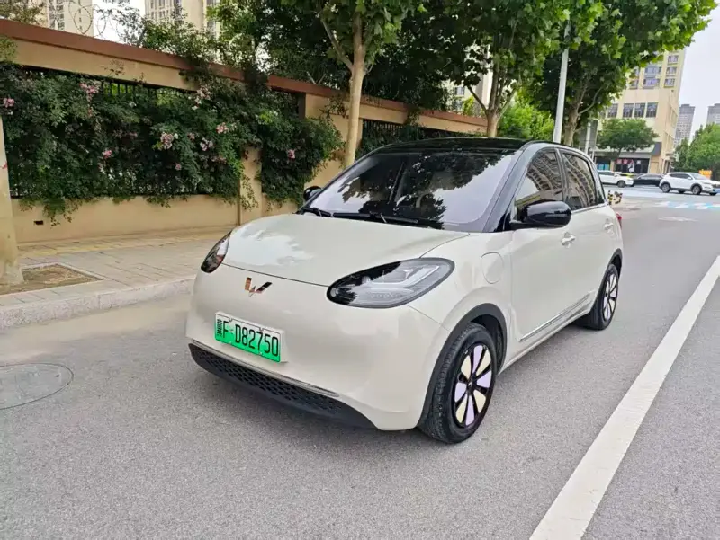 Wuling Bingo, 2024