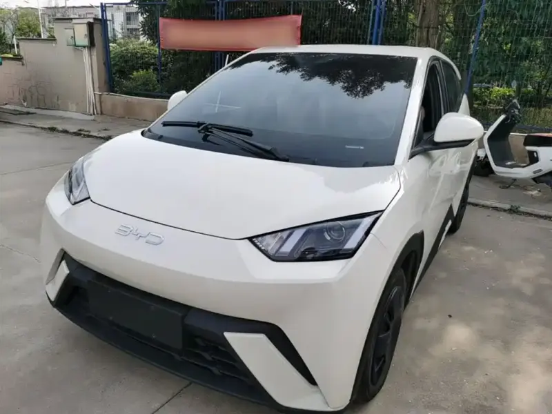 BYD Seagull, 2025