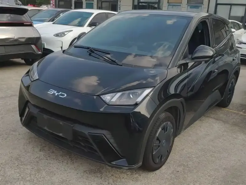 BYD Seagull, 2025
