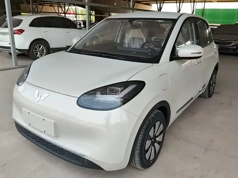 Wuling Bingo, 2024
