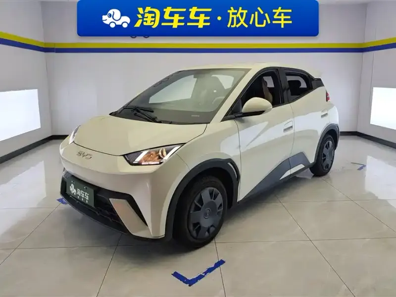 BYD Seagull, 2025