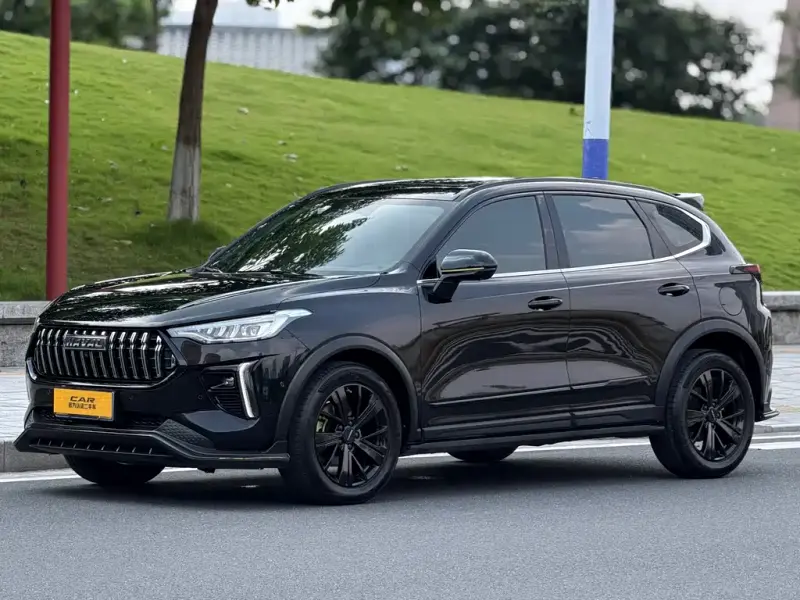 Haval Chitu, 2021